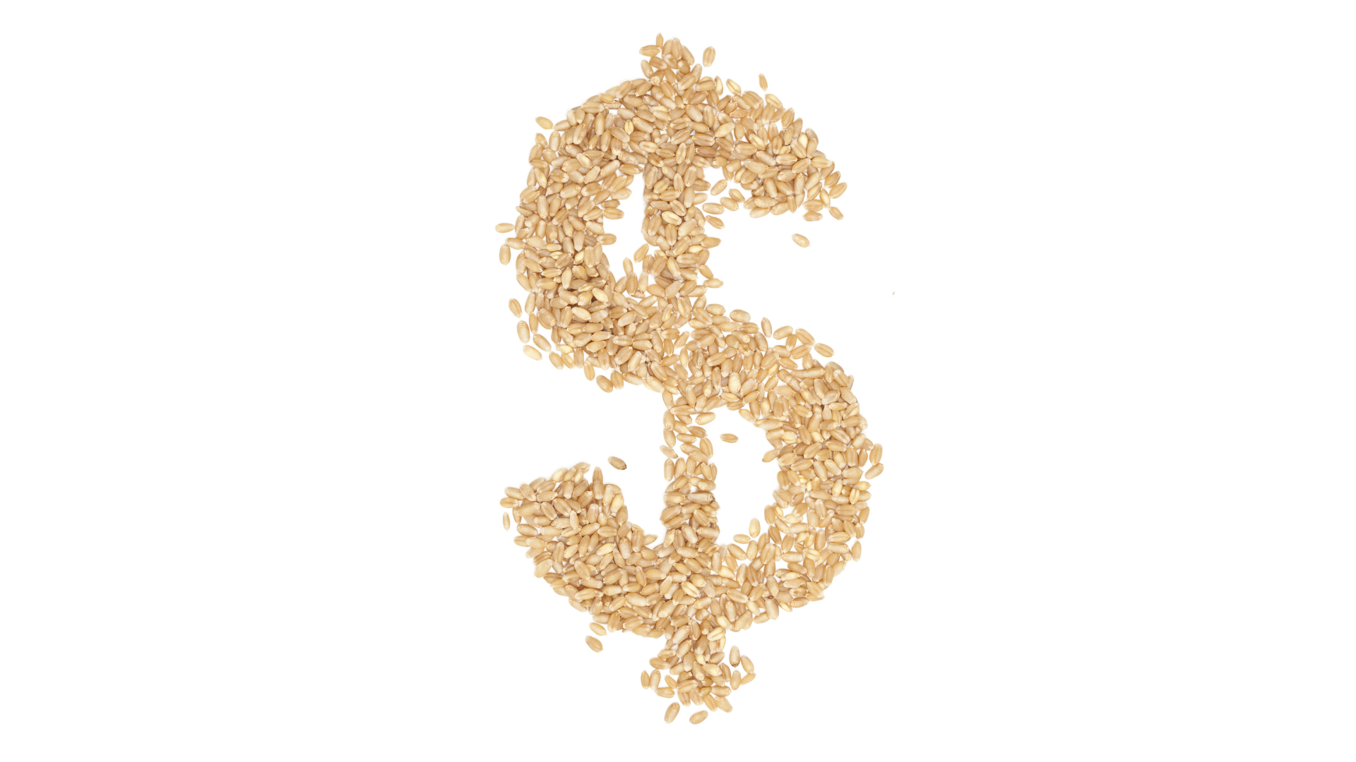 Dollar sign in wheat