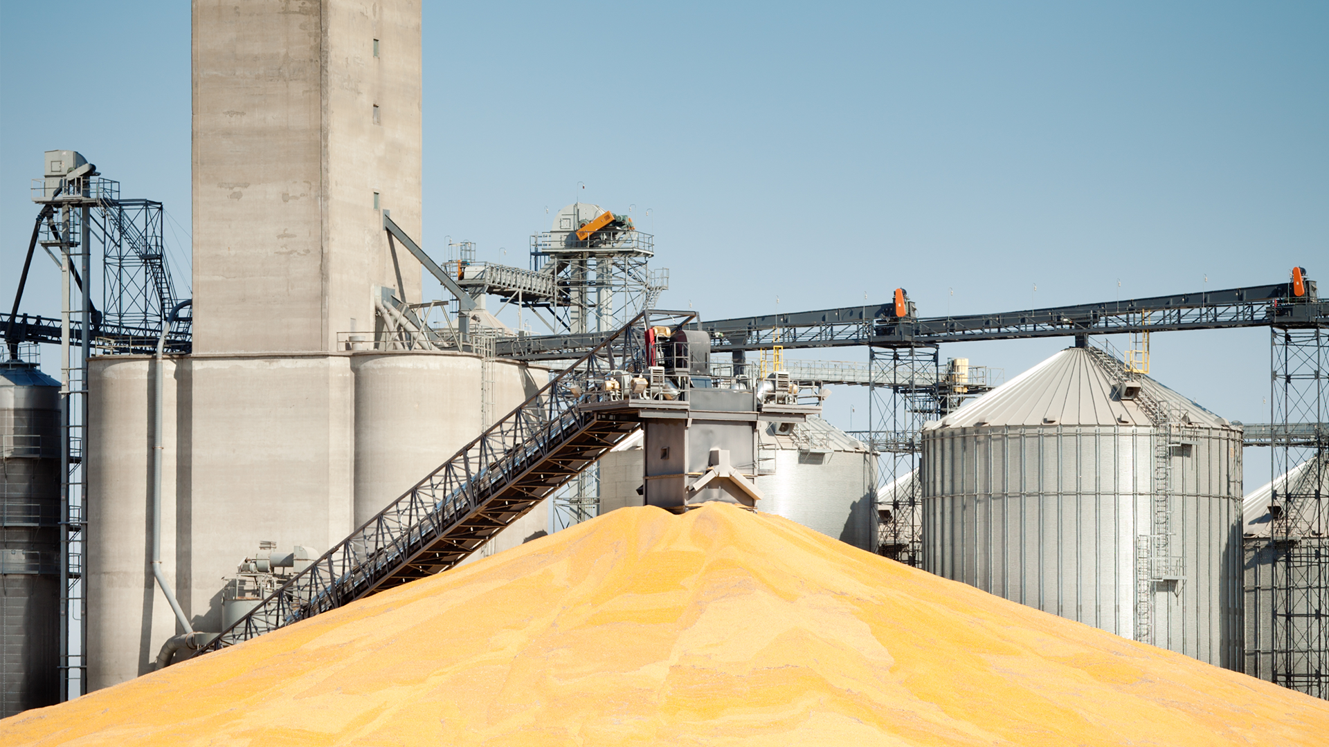 corn harvest processing plant_