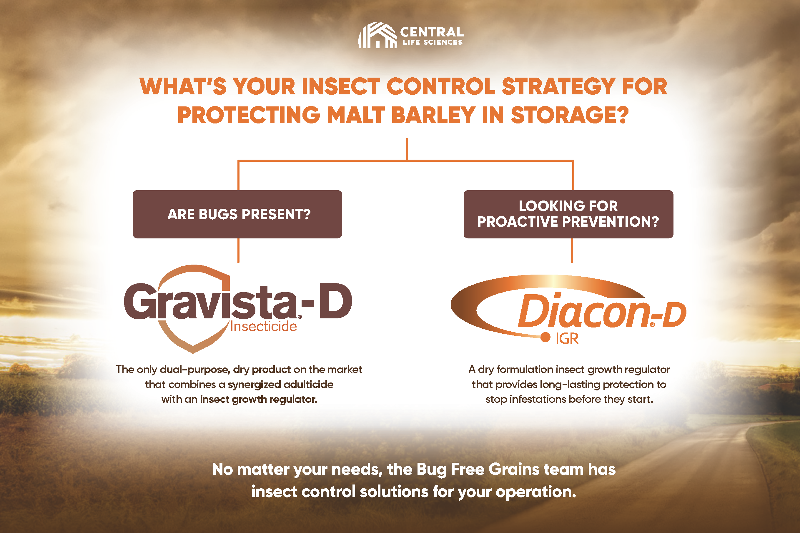 Malt Barley Insect Control Strategies Image_Page_1