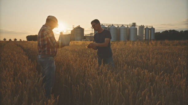 imgi_18_caucasian-farmers-analyzing-crop-data-on-tablet-in-golden-wheat-field