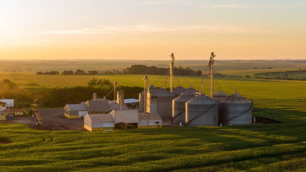 imgi_9_grain-storage-silos-installed-in-the-middle-of-a-corn-plantation-in-brazil